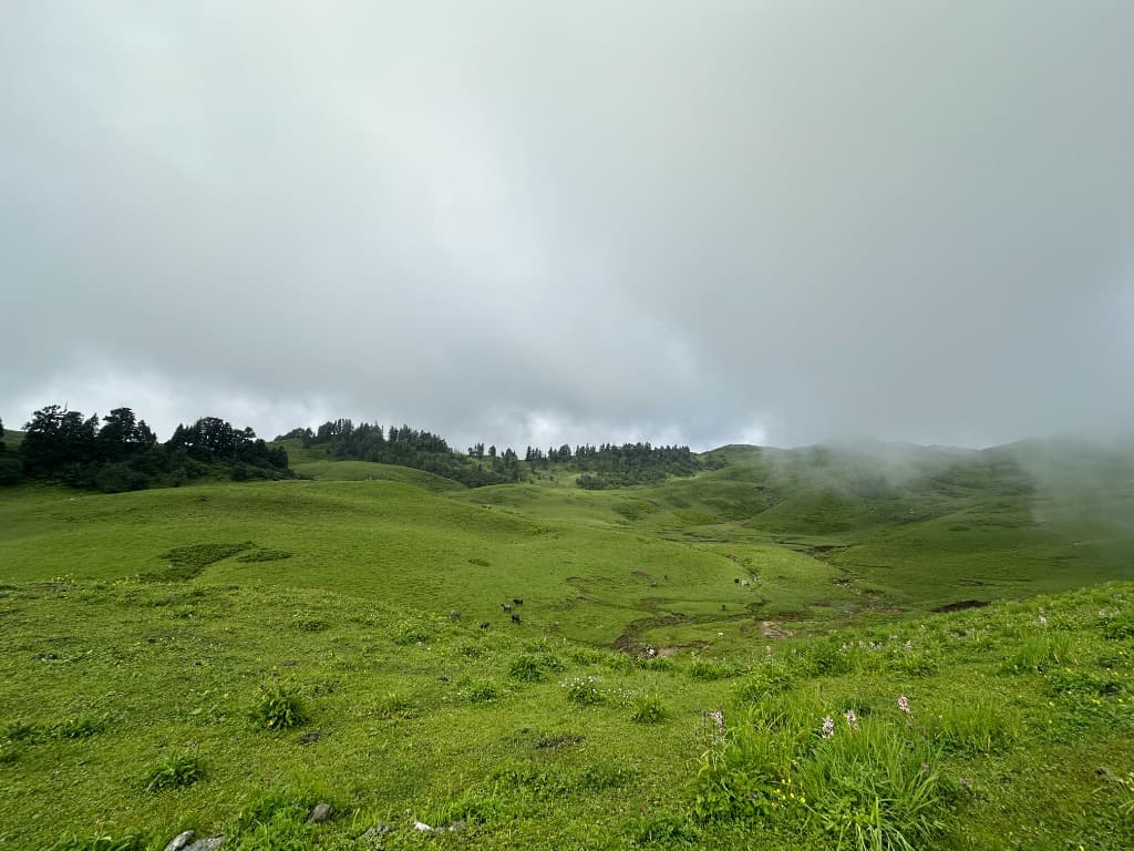 Dayara Bugyal Trek